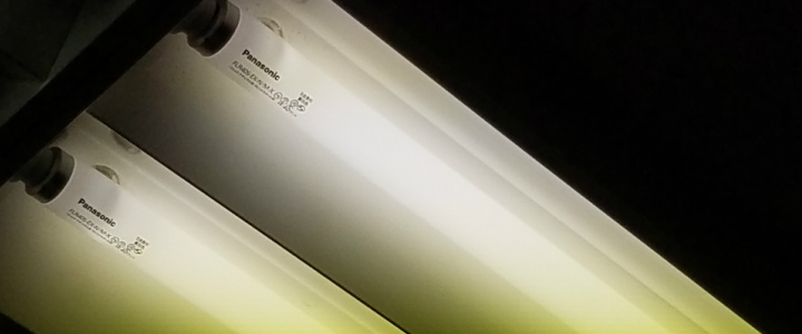 国産爆買い】 ※メーカー欠品中※ 大光電機 LED埋込型ベースライト LZB91088AW プリズマpaypayモール店 通販  PayPayモール